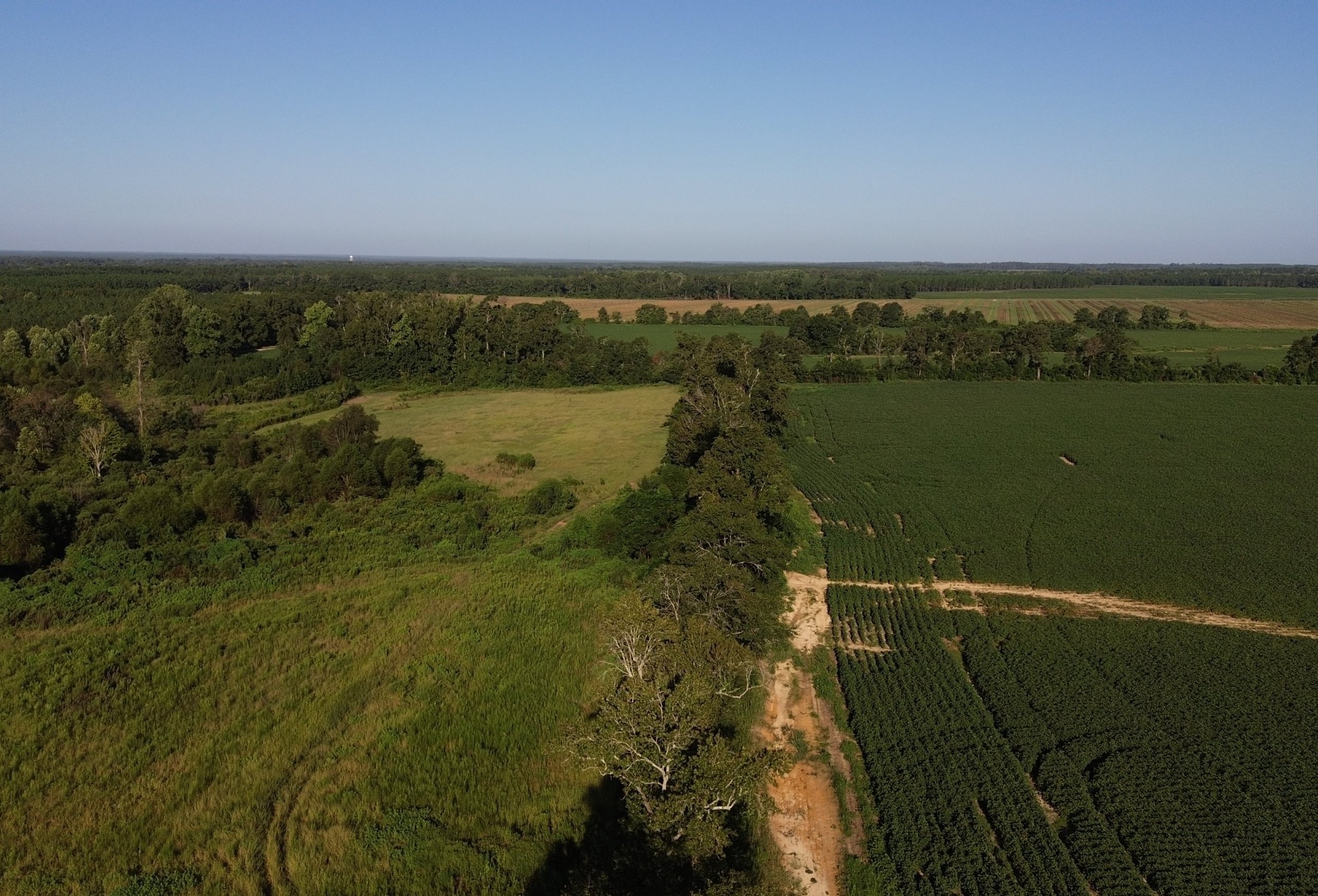 Photo 4 of Cooperville Farmstead, 24.46 acres, Screven County, Georgia