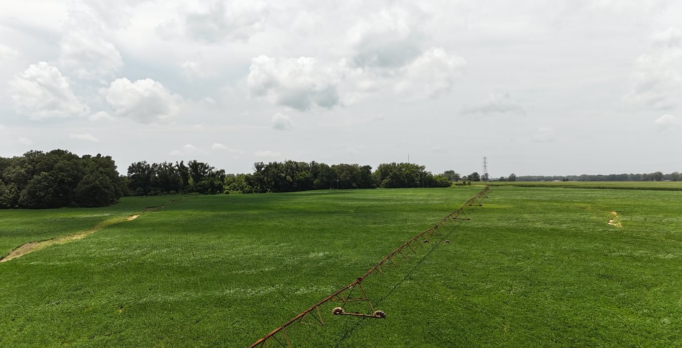 313 DJI 20250618143045 0159 D