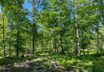 313 county line 6