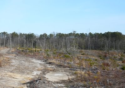 314 Church Hill pic17