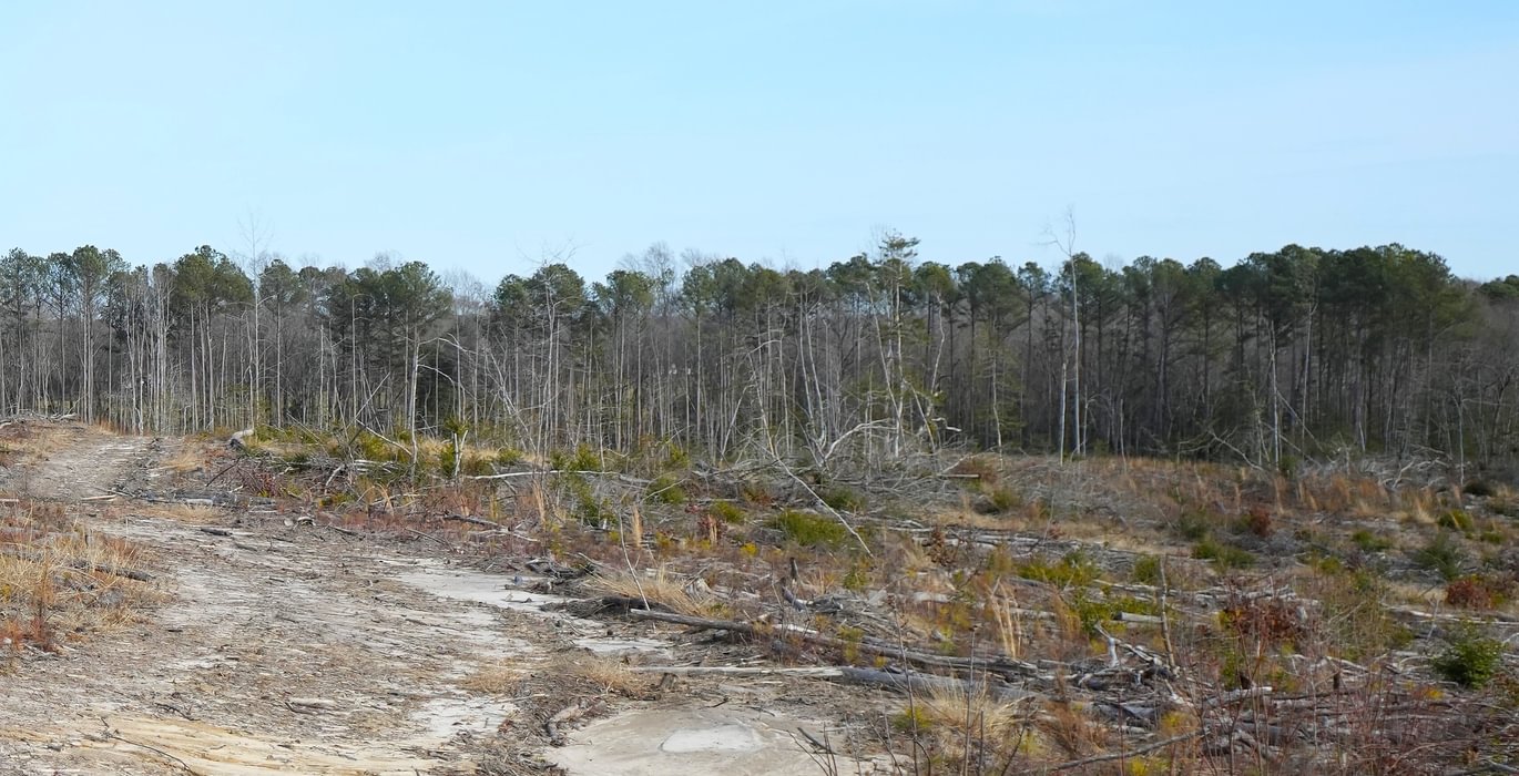 314 Church Hill pic17