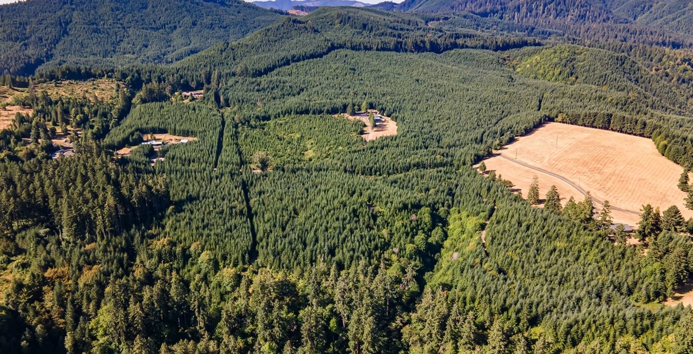 315 DJI 0003 HDR25