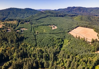 315 DJI 0003 HDR25