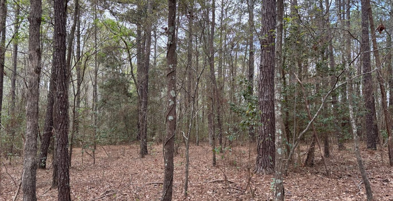 315 IMG 6452