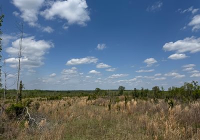 315 IMG 7190