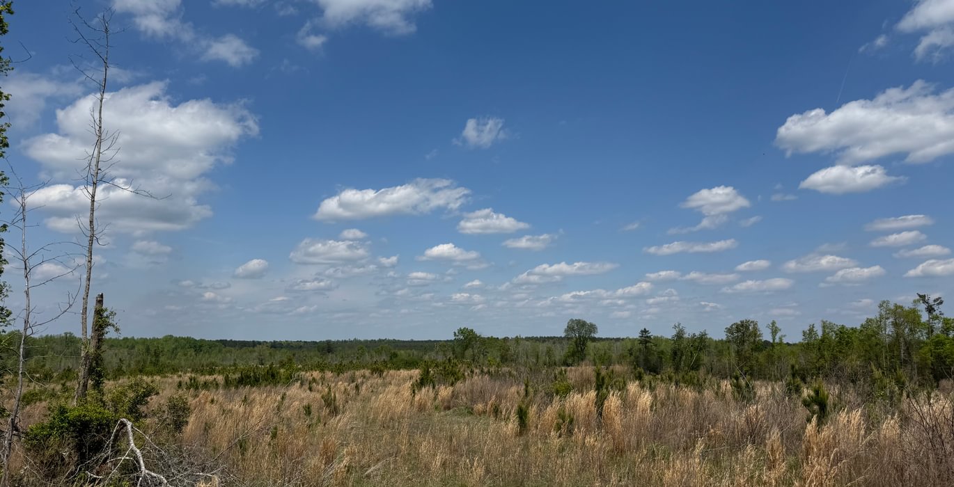 315 IMG 7190
