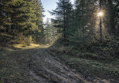 316 Chat GPT Image Jan 13 2026 at 04 51 15 PM