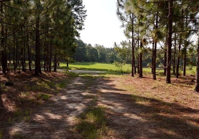 317 Longleaf Mecca Photo 22