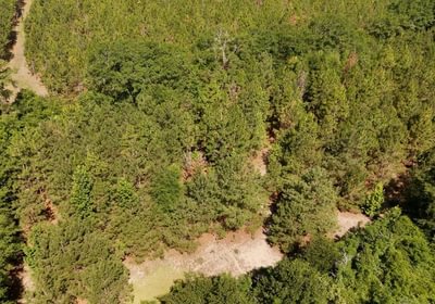 31 Beaverdam Creek Photo 43