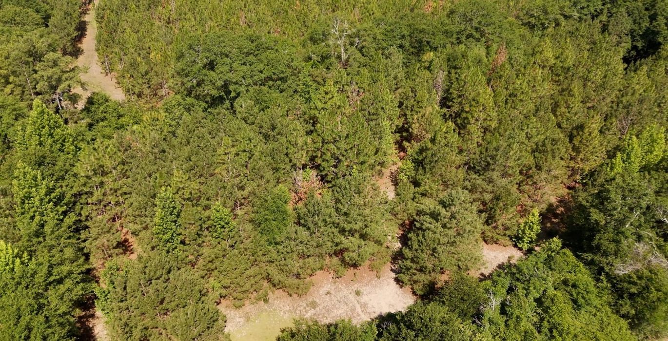 31 Beaverdam Creek Photo 43