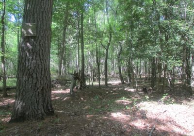 31 IMG 0668