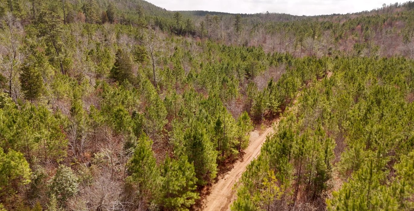 320 AFM Harrisville 68 Photo 25