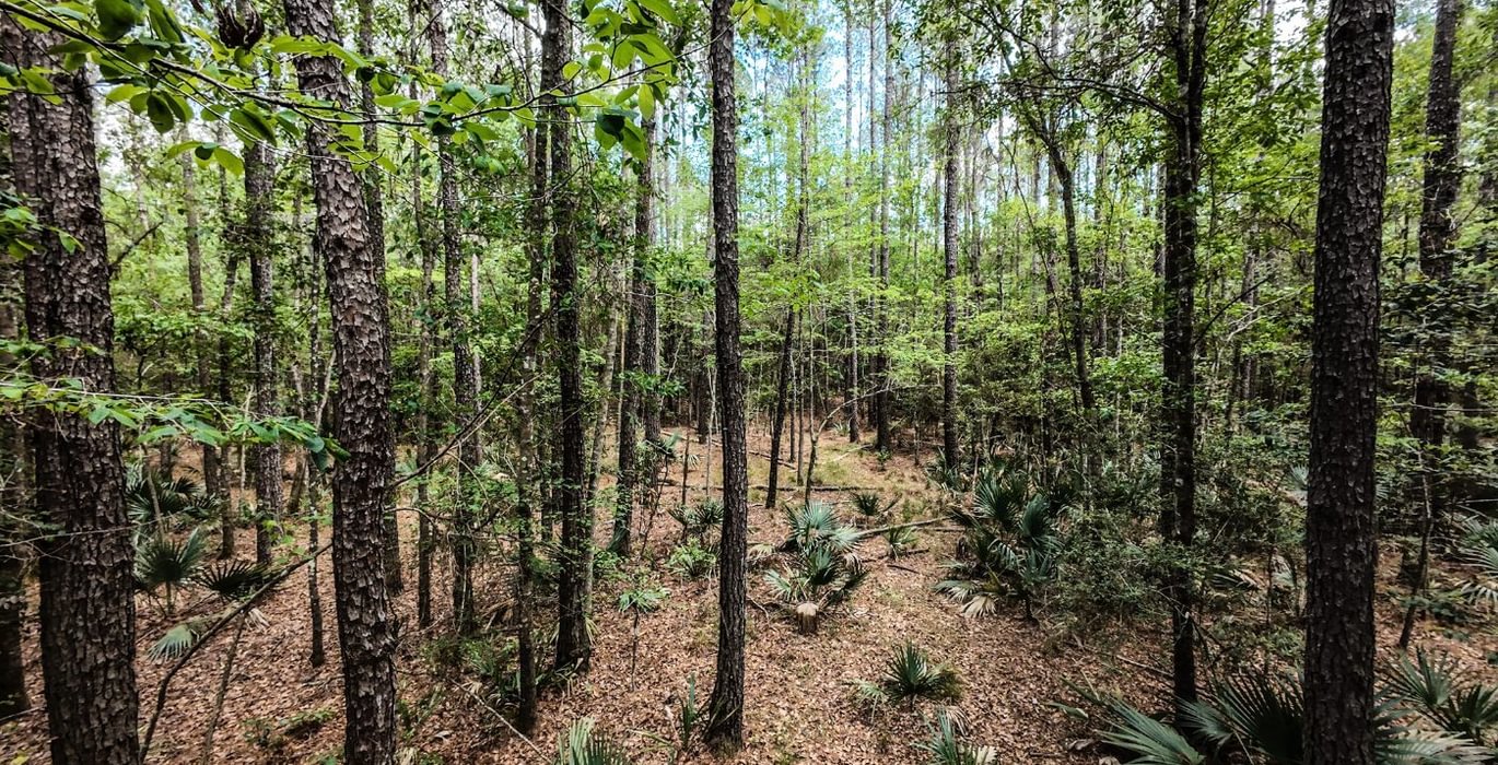 320 DJI 20250516231255 0072 D