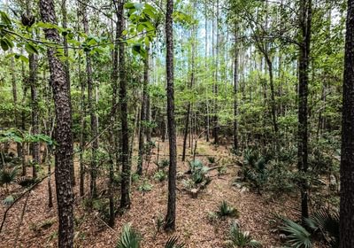 320 DJI 20250516231255 0072 D