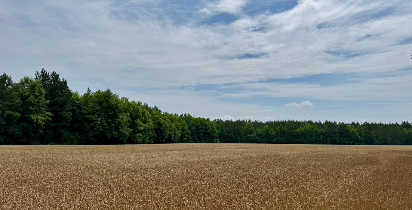 320 IMG 7532