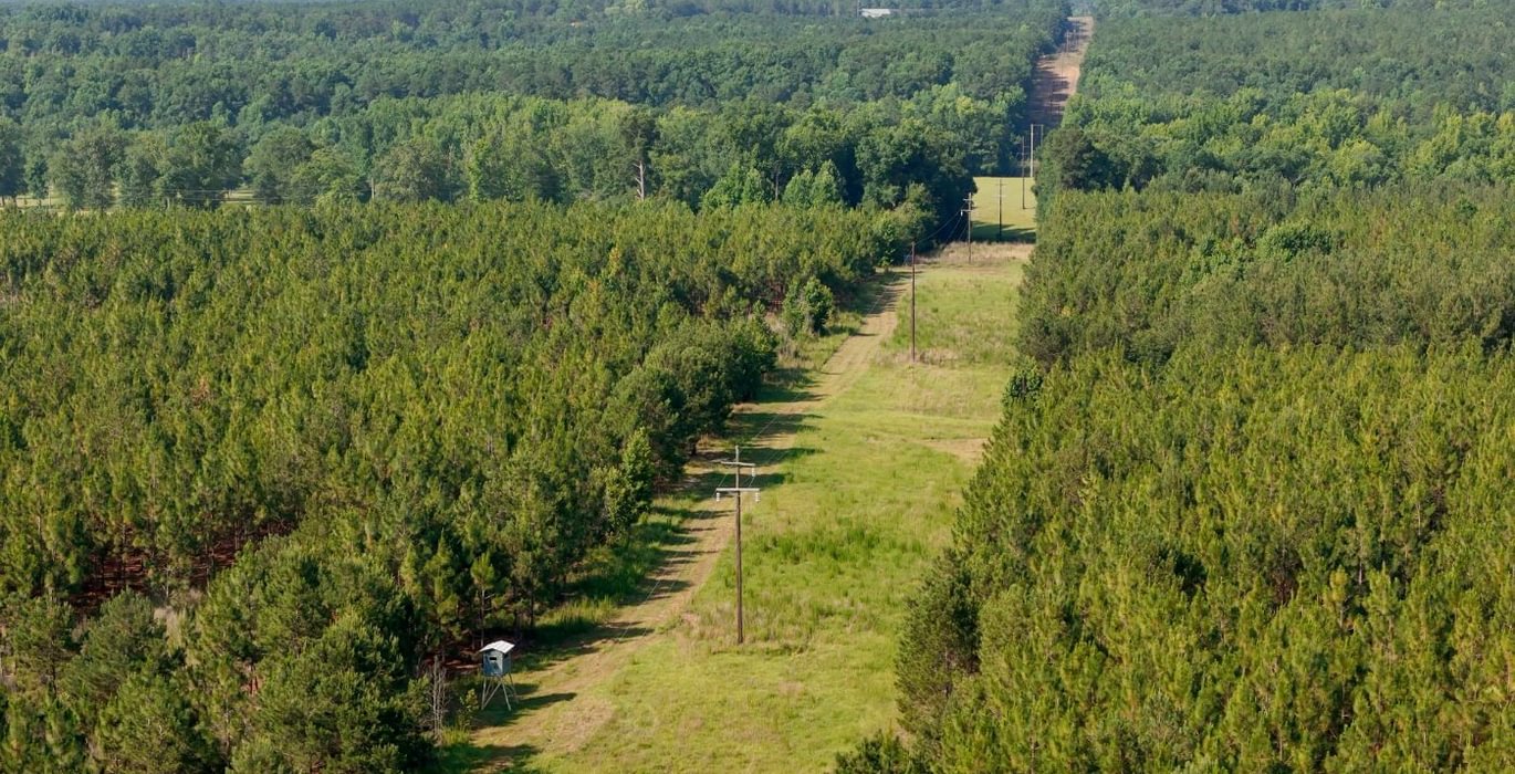 320 Longleaf Mecca Photo 8