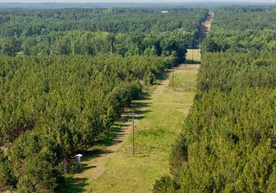 320 Longleaf Mecca Photo 8