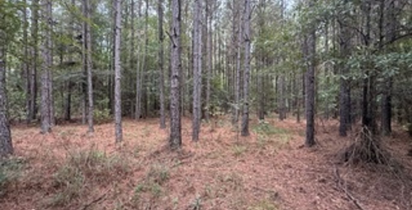 322 IMG 7886