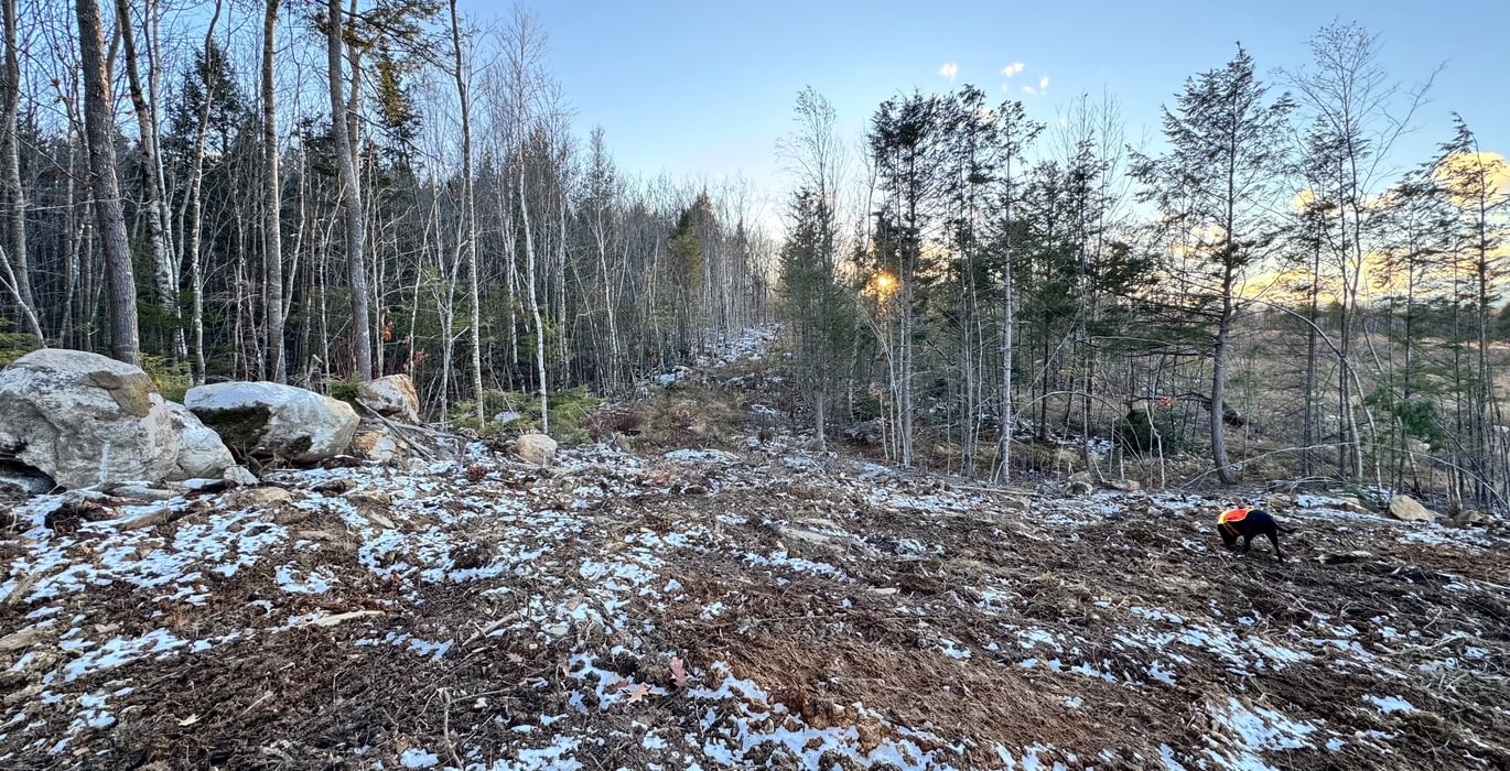 322 driveway endbuild site