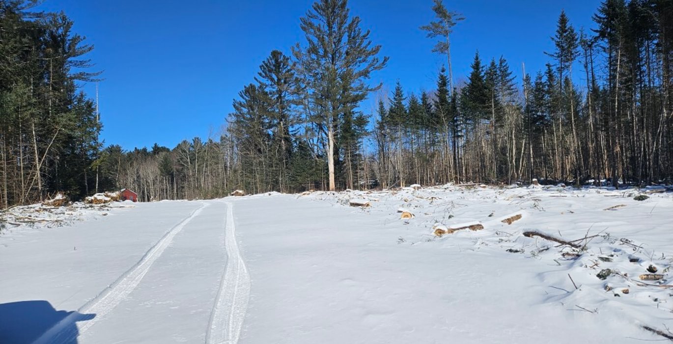 323 15 North section access off woods road