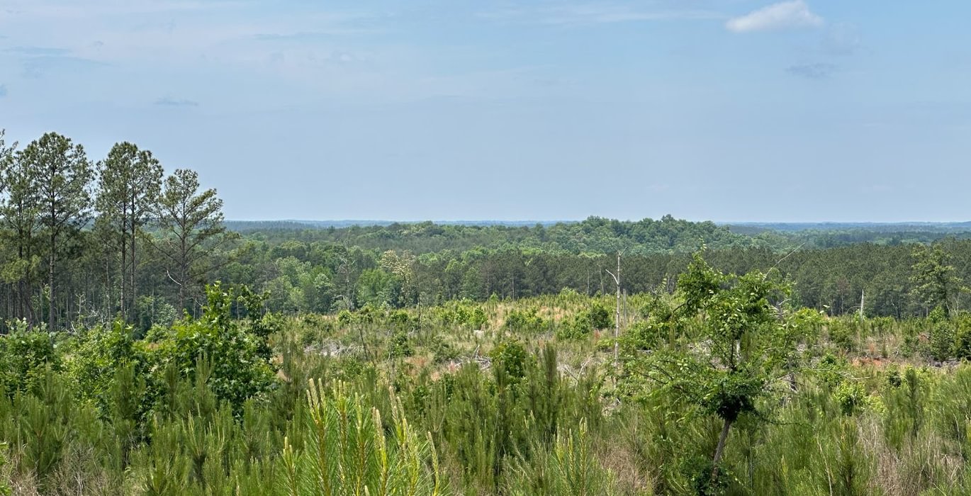 323 IMG 0542