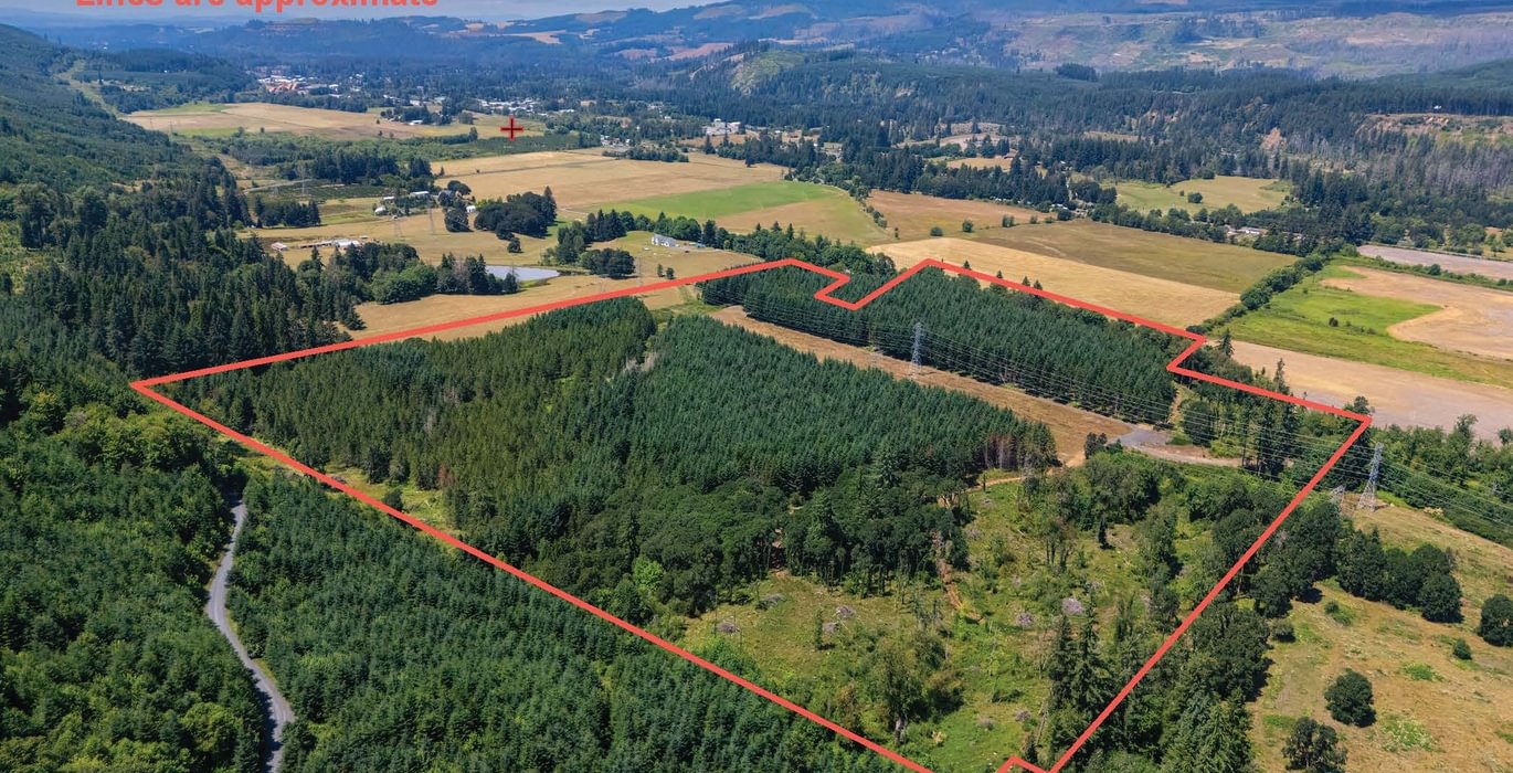 323 Overview photo with boundary