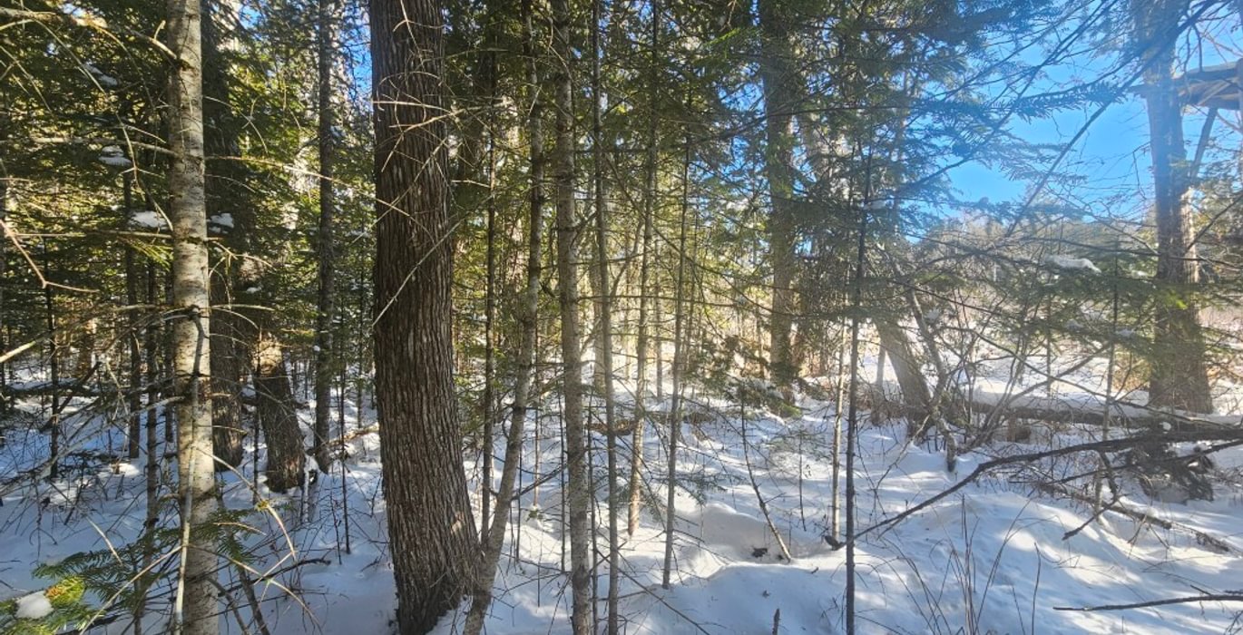 324 9 North lot