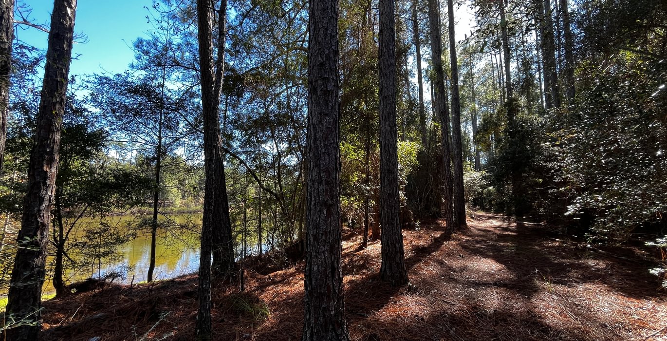 324 Area by the pond
