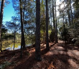 324 Area by the pond