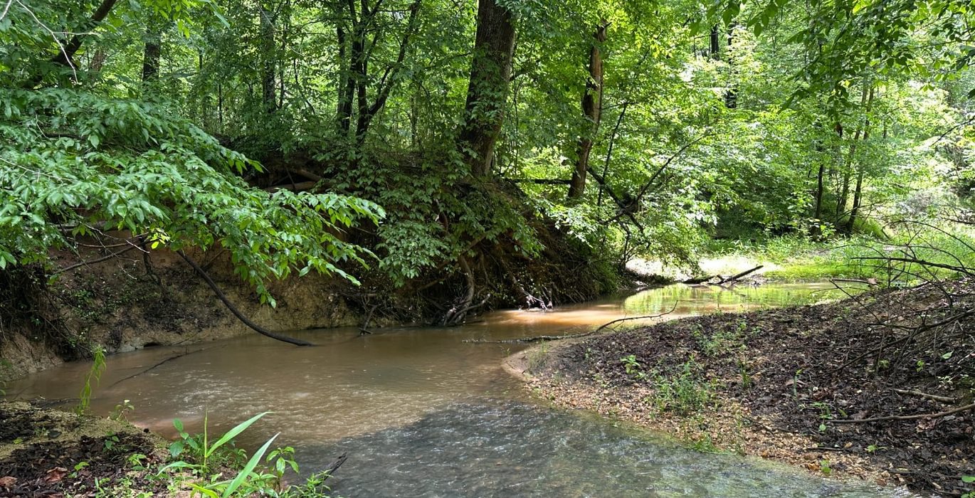 326 IMG 1581