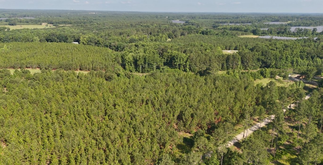326 Longleaf Mecca Photo 5