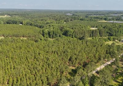 326 Longleaf Mecca Photo 5