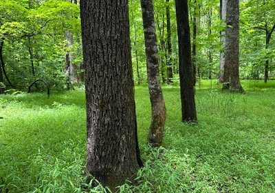 327 IMG 1545