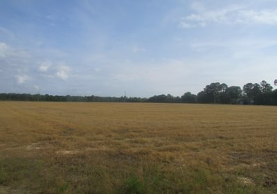 328 IMG 0713