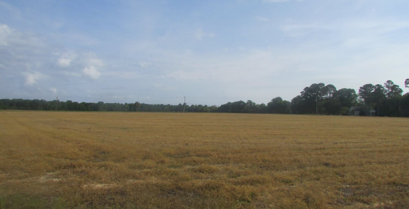 328 IMG 0713