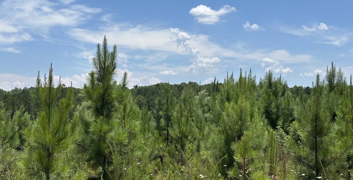 328 IMG 5801