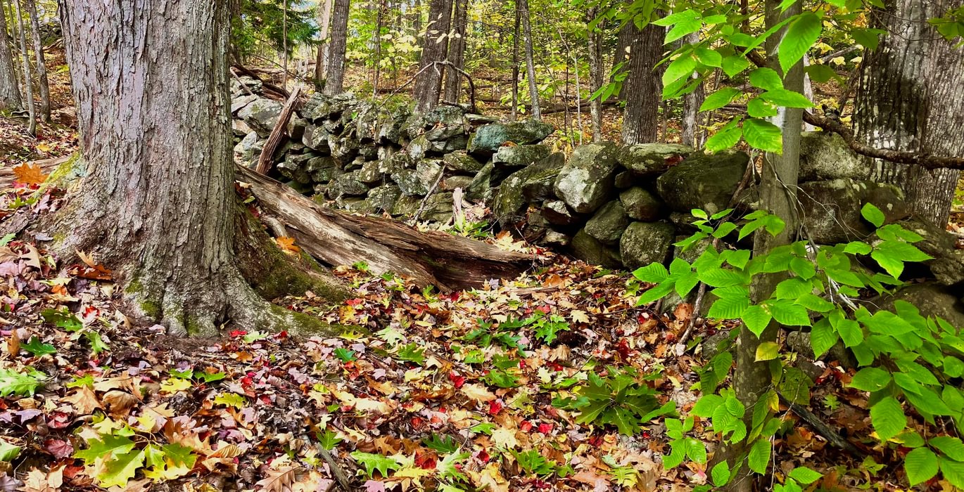 329 rock wall