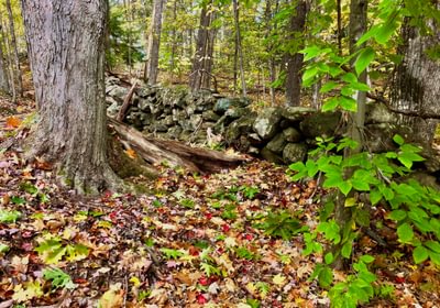 329 rock wall