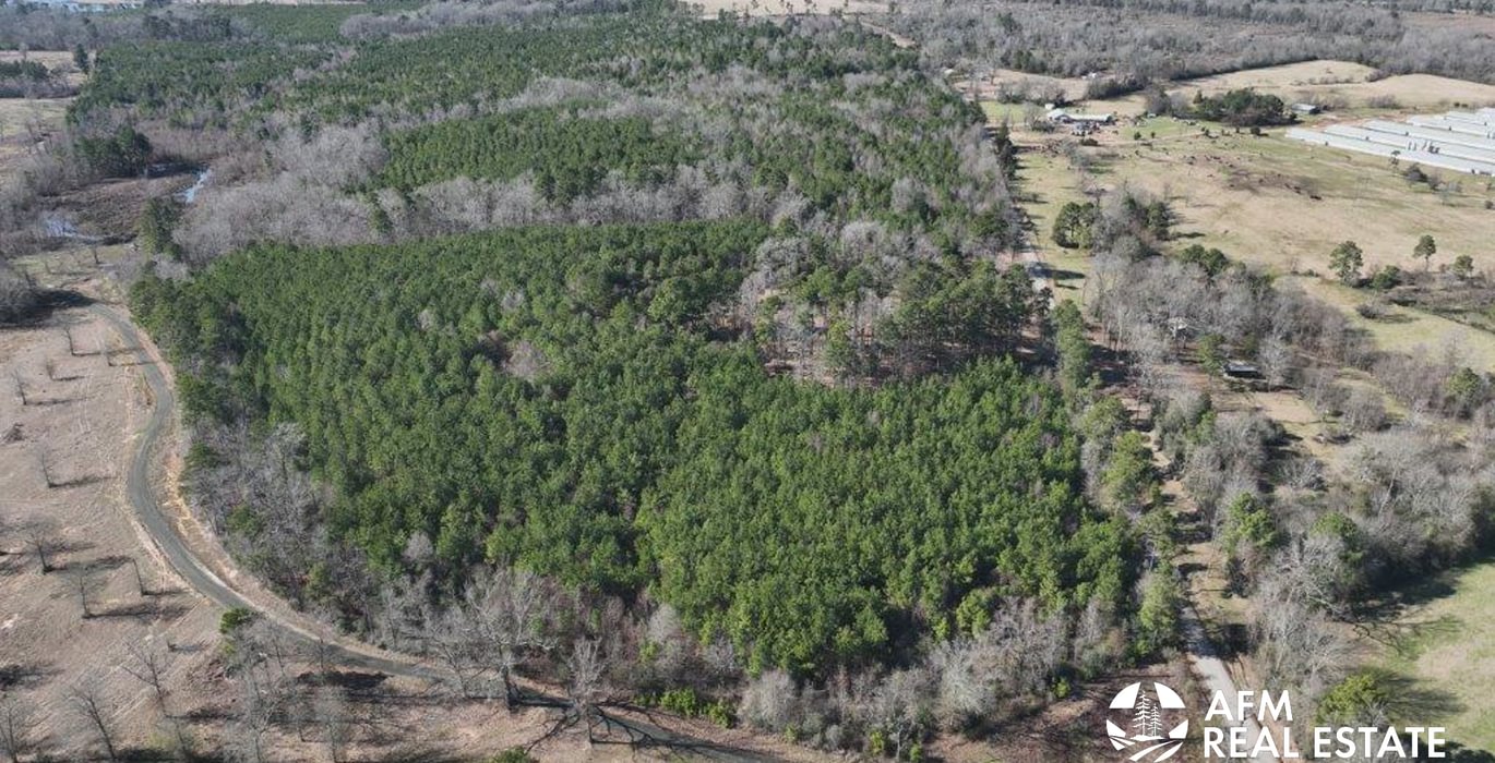 32 DJI 20250201142507 0004 V