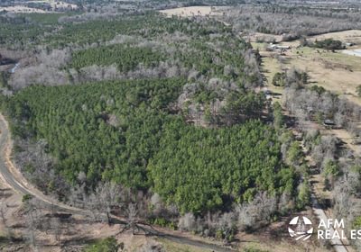 32 DJI 20250201142507 0004 V