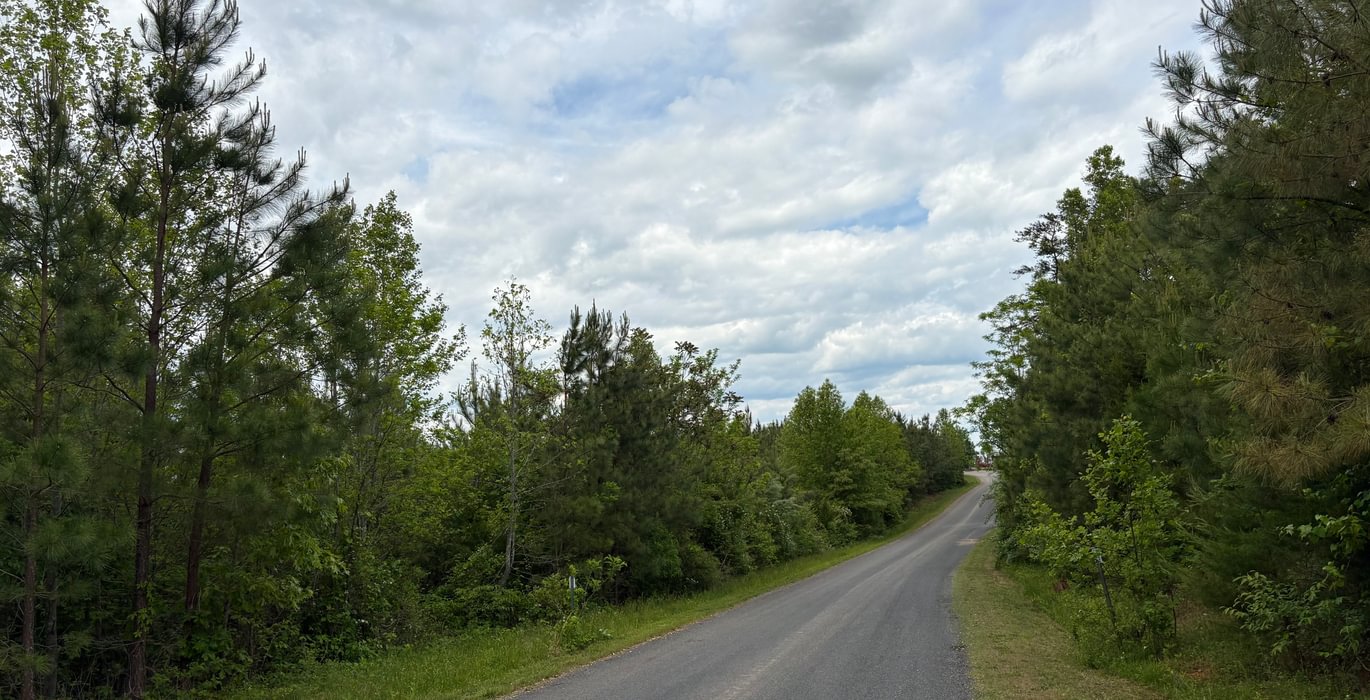 32 IMG 1384
