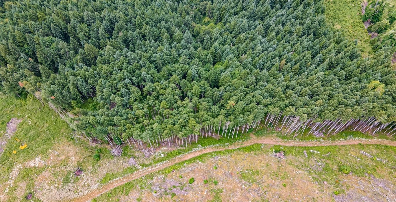 330 DJI 0624 HDR25