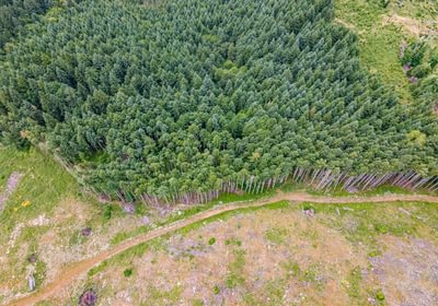 330 DJI 0624 HDR25