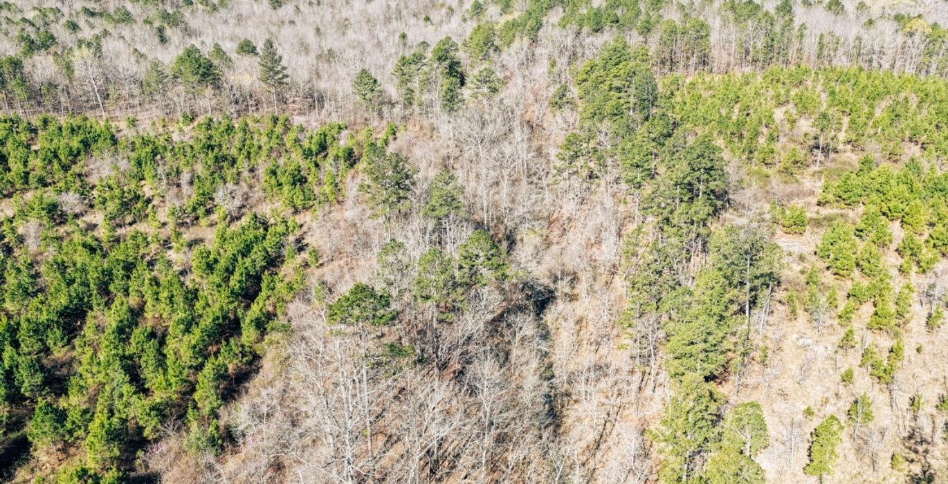 330 DJI 20260316103527 0026 D Medium