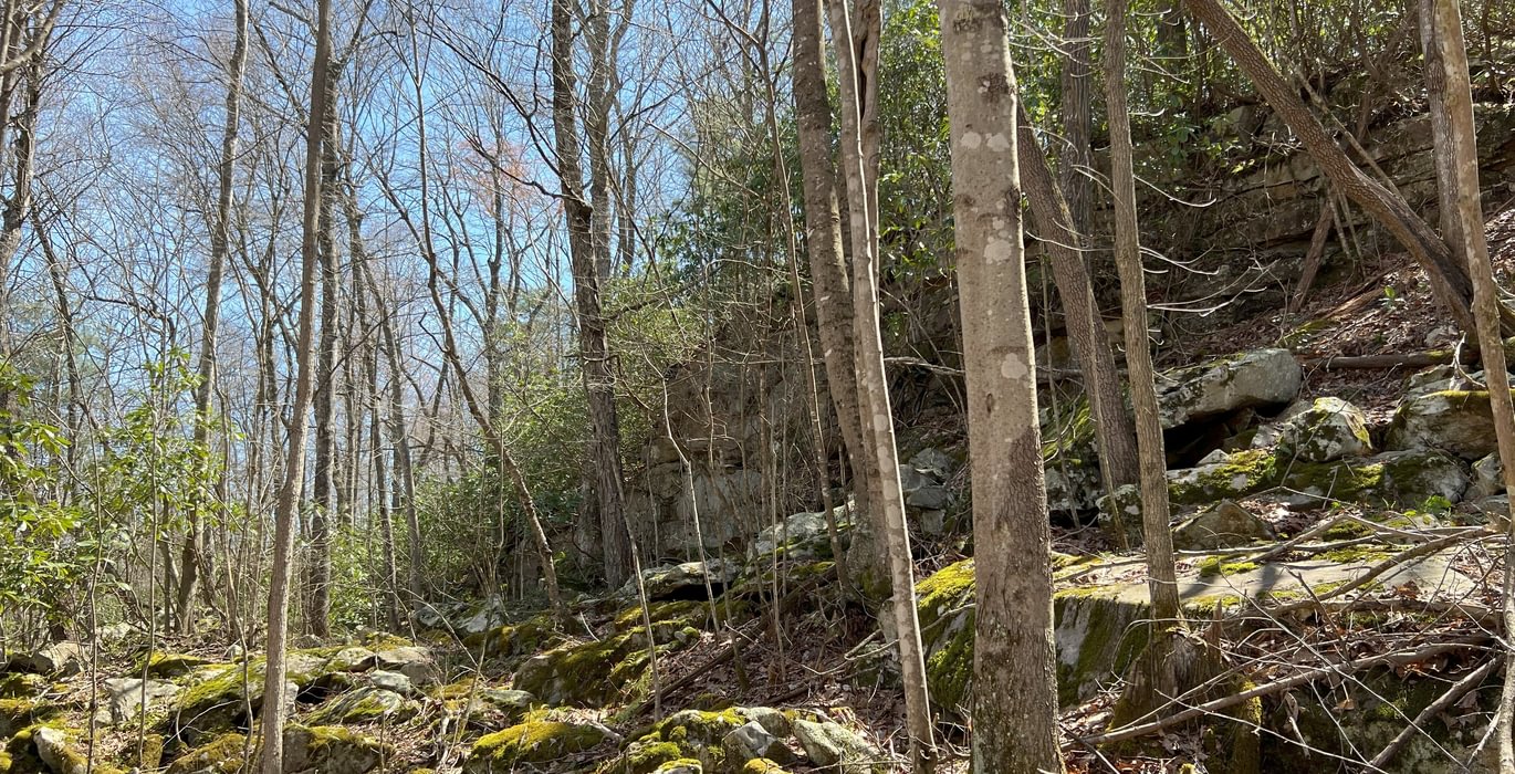 330 Timber Stand Rock Outcrop