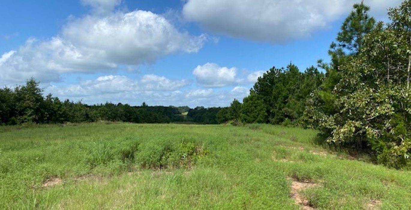 330 gum springs 3