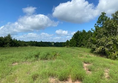 330 gum springs 3