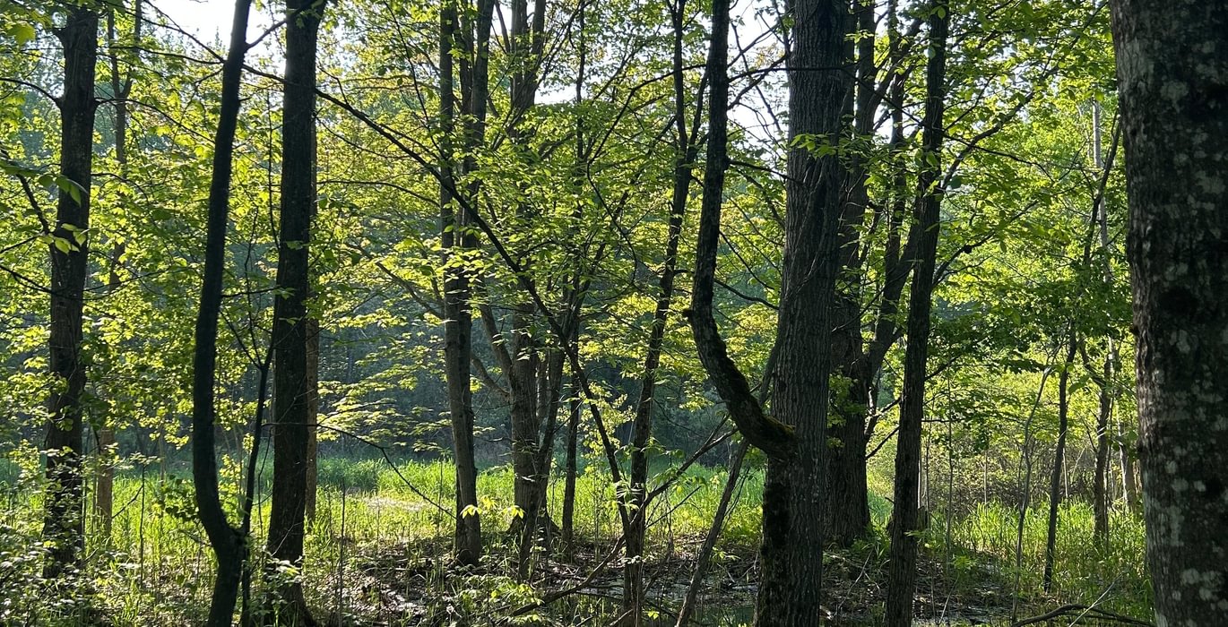 331 IMG 1833