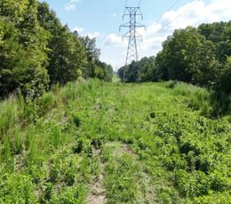 331 Simlin Creek Photo 18