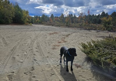 332 7 Lot showing sand resource 2